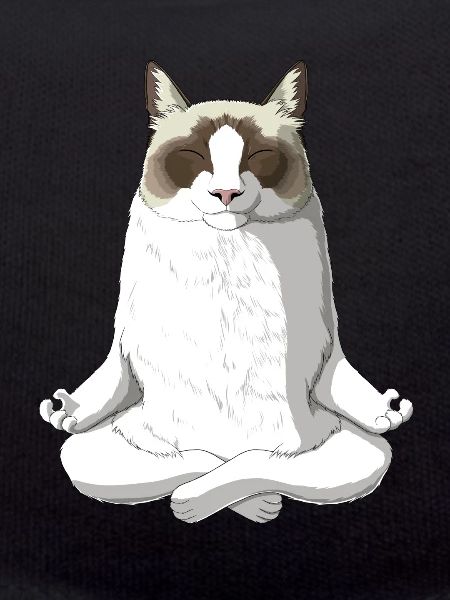 Ragdoll chat
