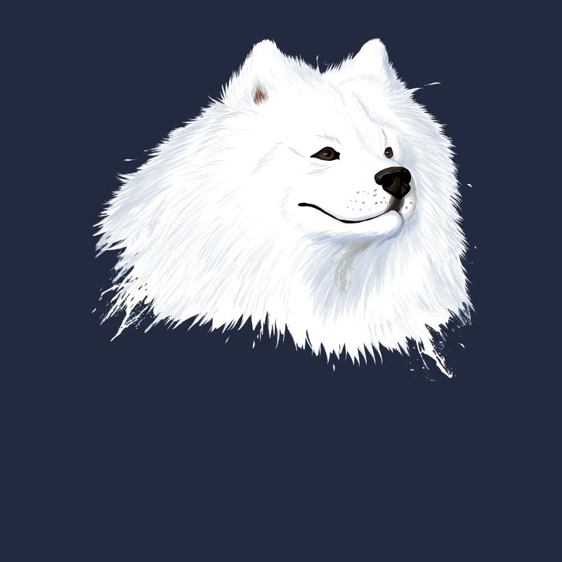 Samojede chien