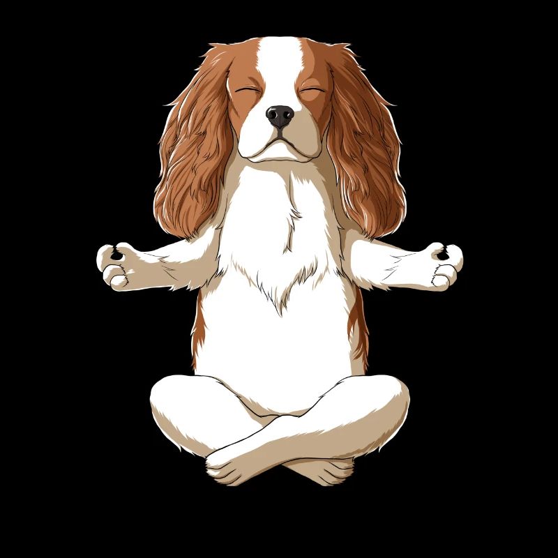 Cavalier King Charles Spaniel