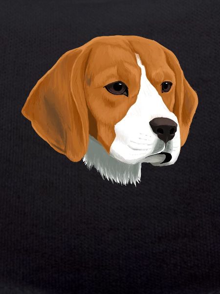 Beagle Dog