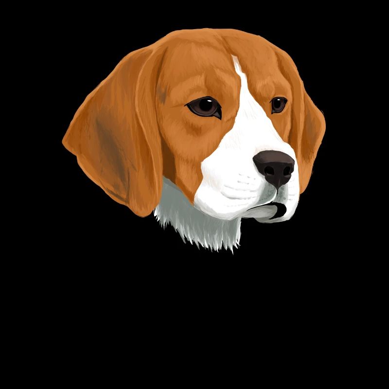 Beagle Hund