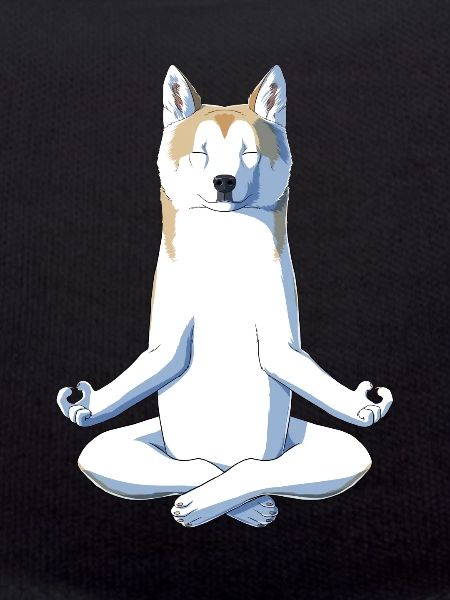 Yoga Akita Dog