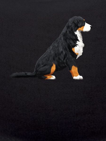 Berner Sennenhund