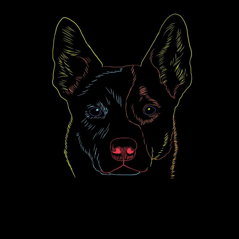 Hund Australian Cattle Dog