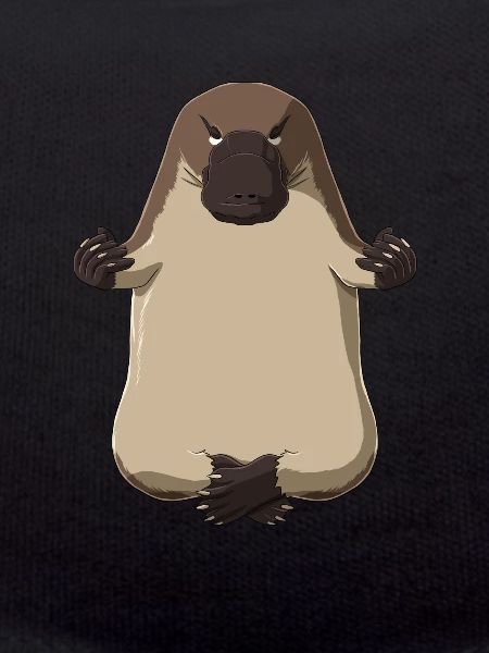 Platypus Meditate