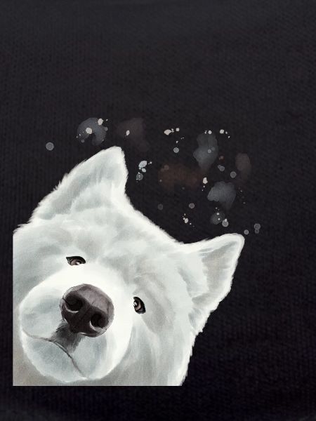 Curious Samoyed Dog