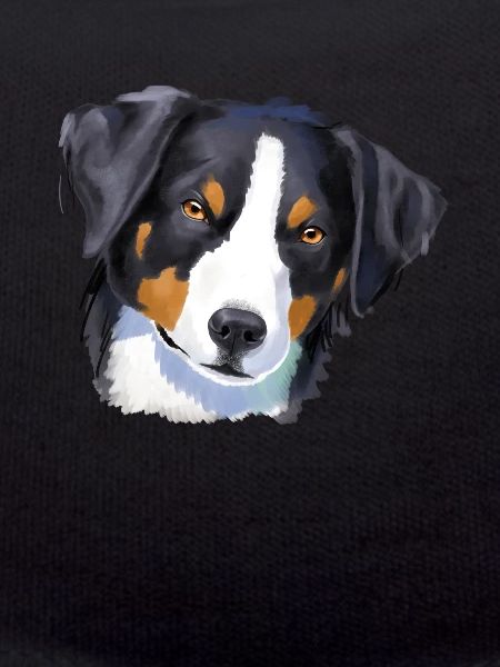 Appenzell Mountain Dog