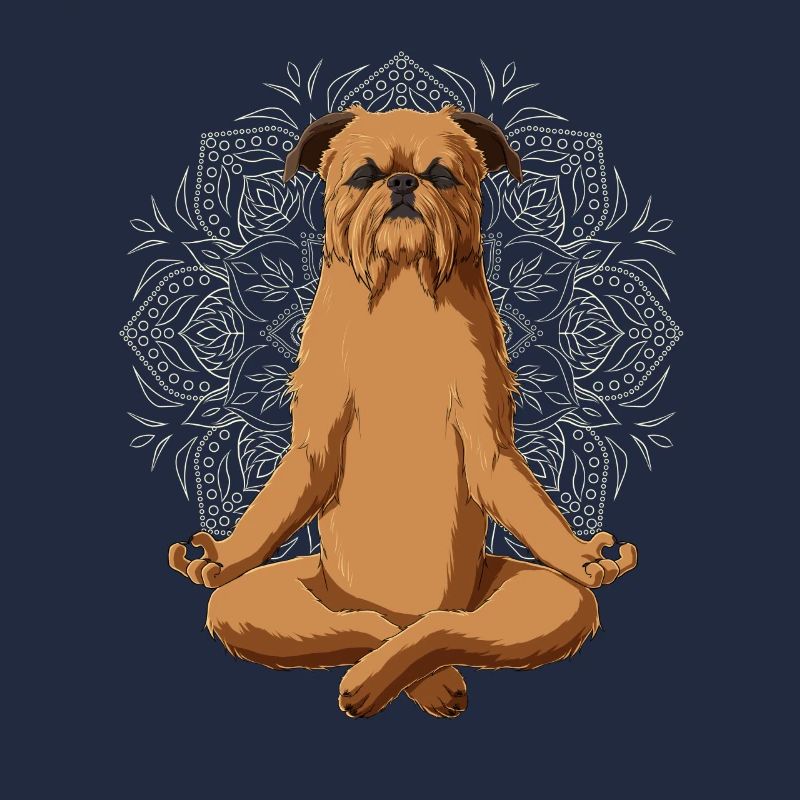 Brussels Griffon Dog meditate