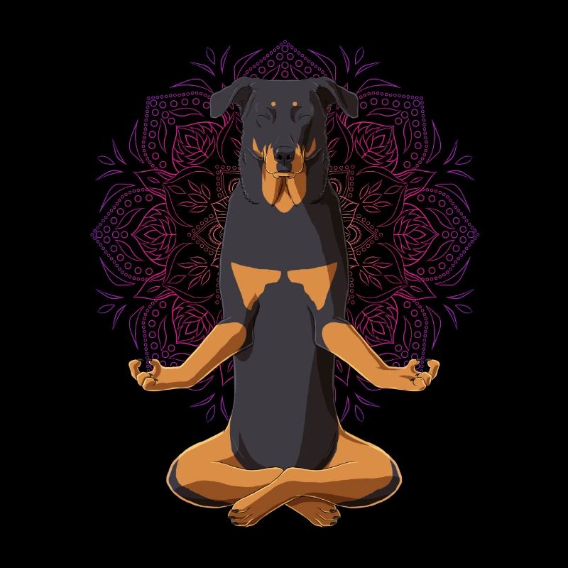 Beauceron chien méditation