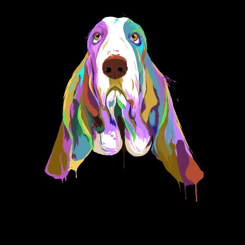 Basset Hound Hund Splash