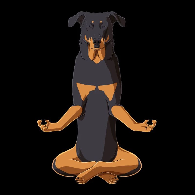 Beauceron chien méditation