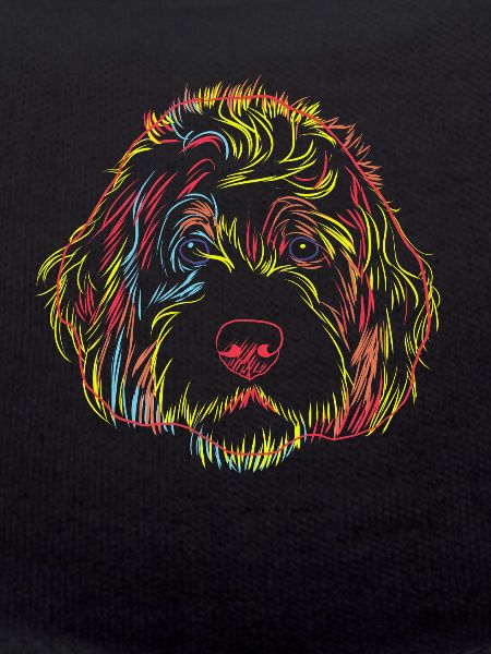 Labradoodle chien