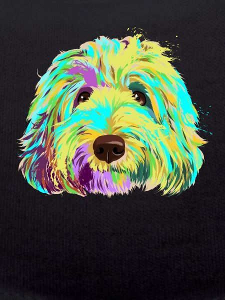 Splash Labradoodle Dog
