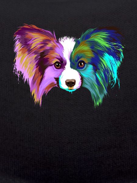 Splash Papillon Dog