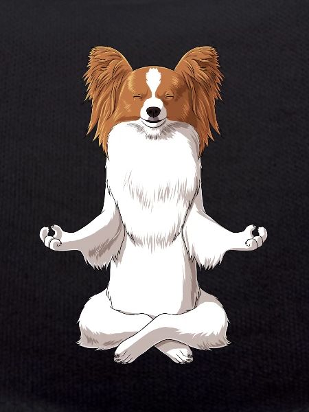 Meditating Papillon Dog