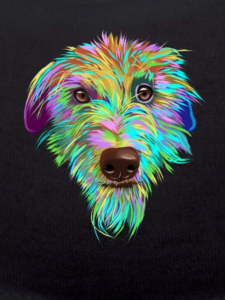 Splash Scottish Deerhound Dog