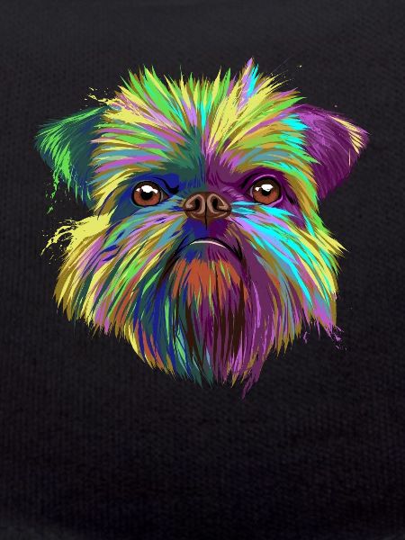 Splash Brussels Griffon Dog