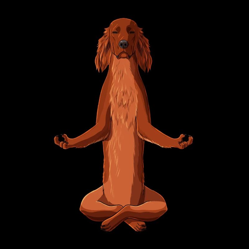 Chien Irish Red Setter Méditant