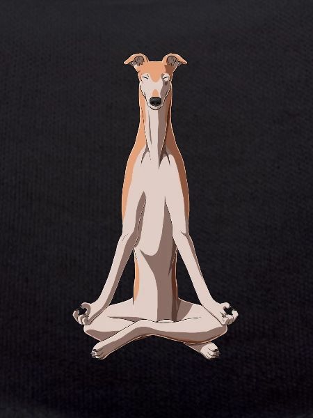 Meditating Greyhound Dog