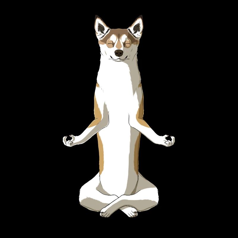 Chien de lunde norvégien méditant