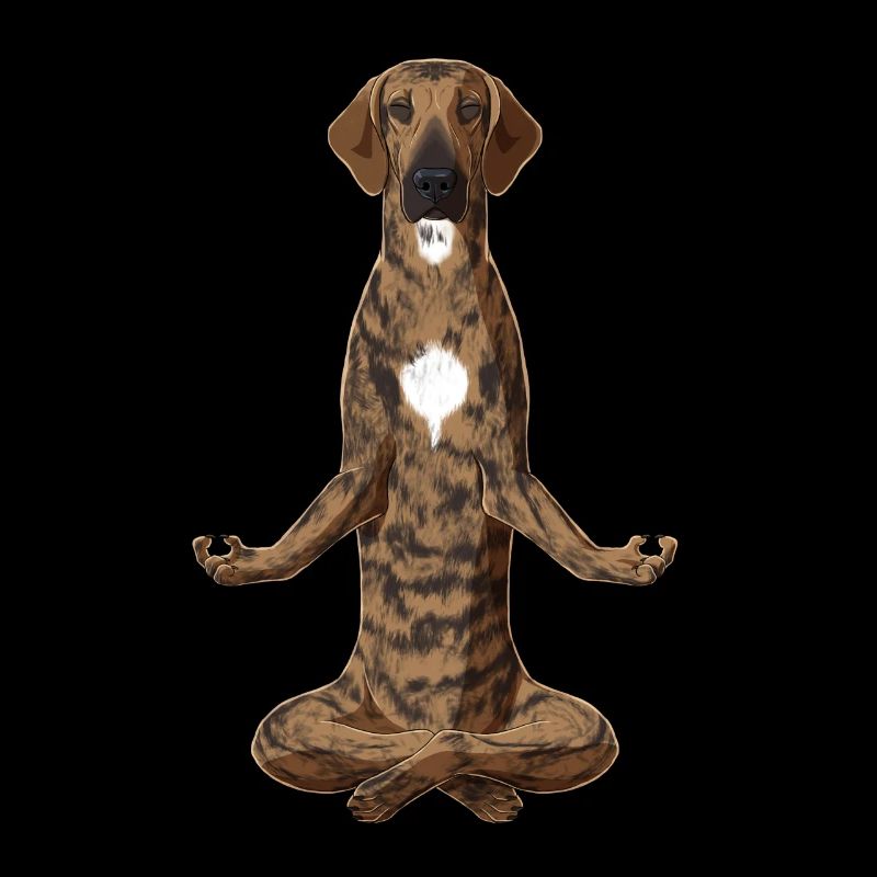 Meditierender Plott Hound Hund