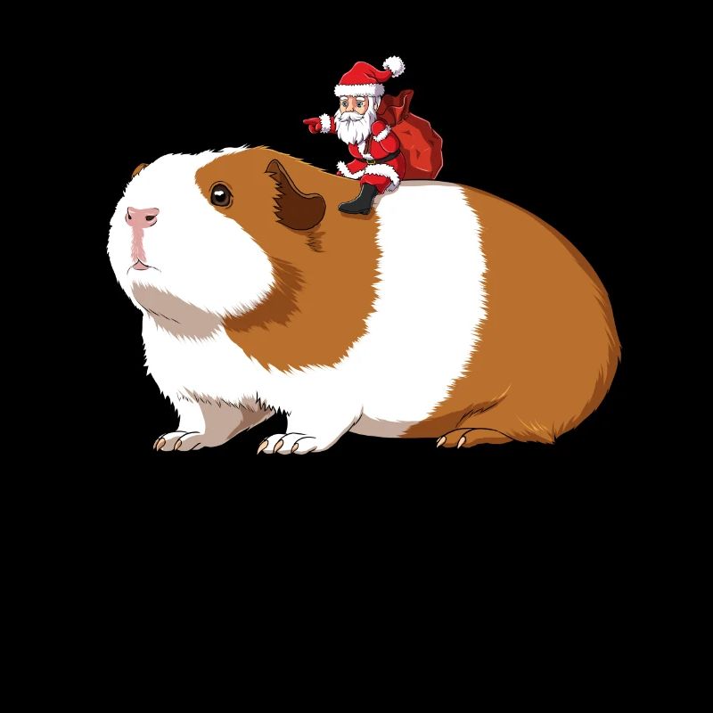 Meerschweinchen und Weihnachtsmann