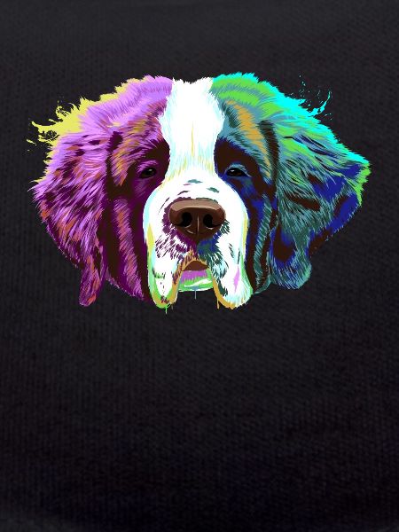 Splash Saint Bernard Dog