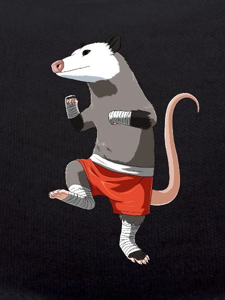 Muay Thai Opossum