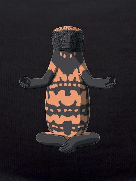Meditate Gila Monster