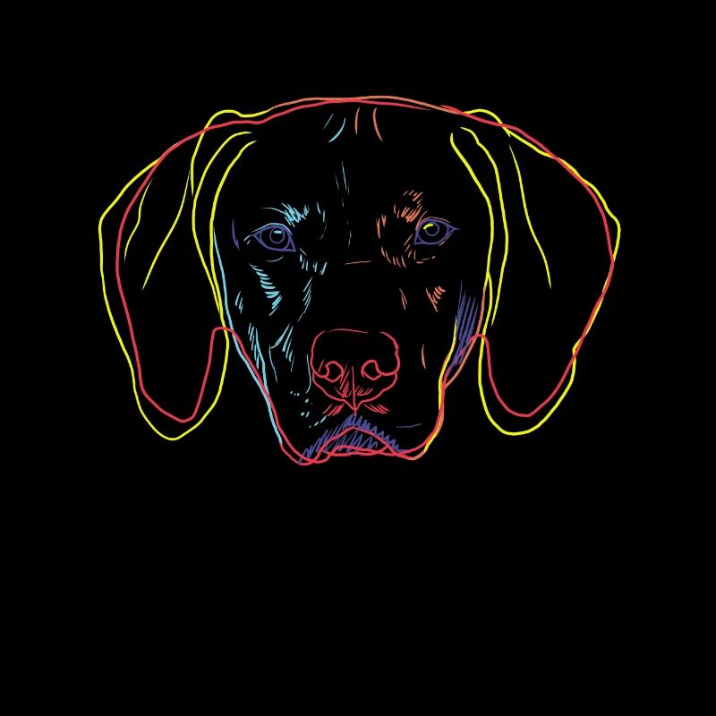 Strokes chien de chef hongrois