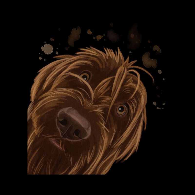 Neugieriger Wirehaired Pointing Griffon Hund