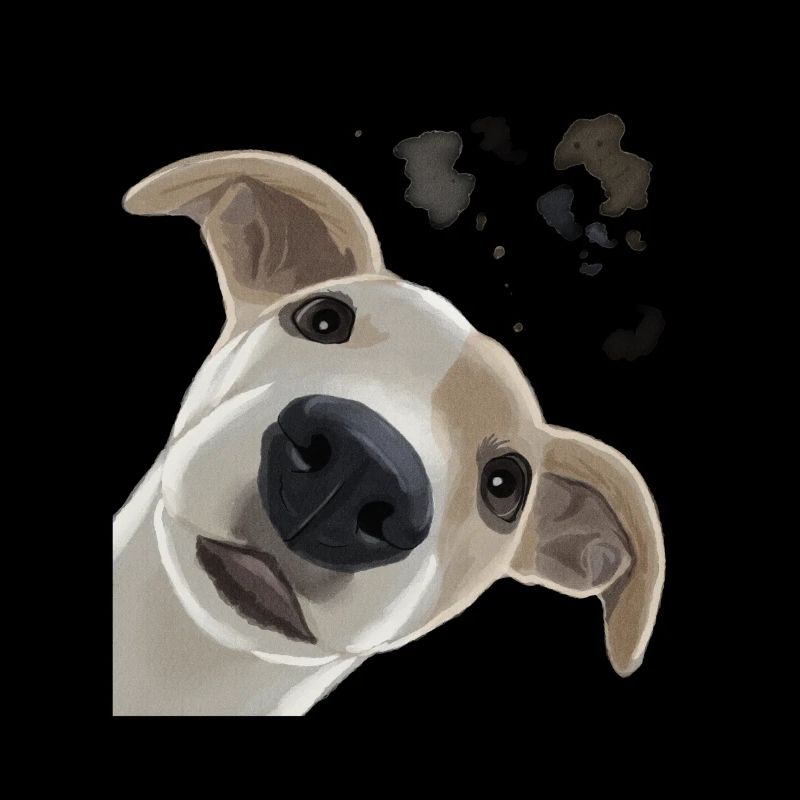 Neugieriger Whippet Hund