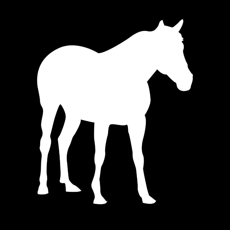Cheval chevaux chevaux