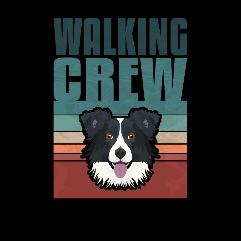 Equipage, Border Collie