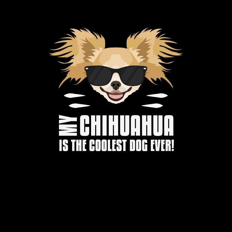 My Chihuahua is the coolest