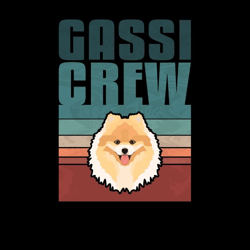 Gassi Crew, Zwergspitz