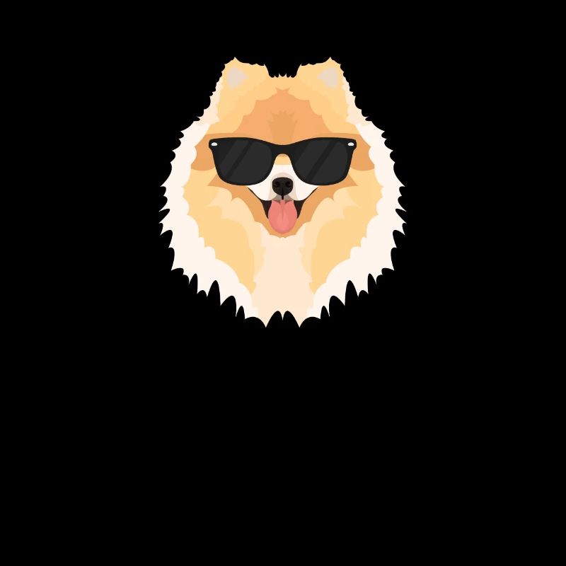Mein Zwergspitz ist der Coolste