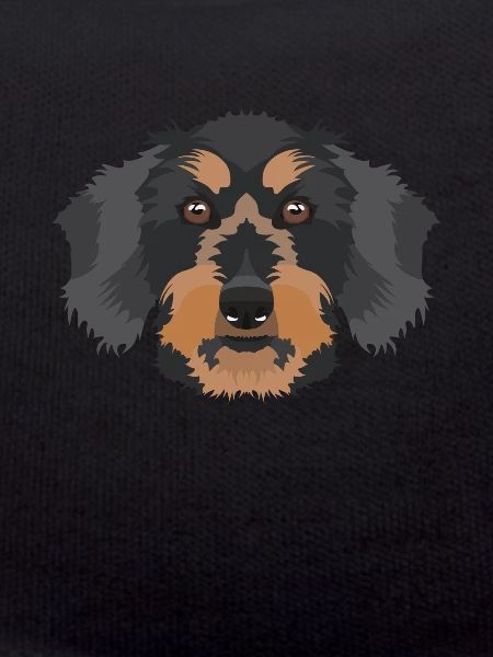 Smiling rough-haired dachshund