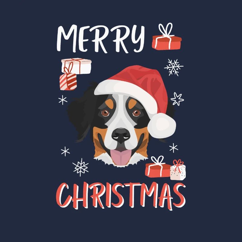 Berner Sennenhund Weihnachten