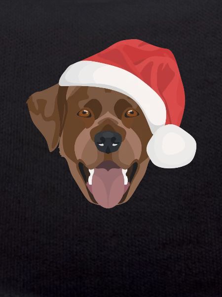 Labrador Christmas