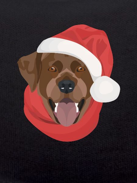 Labrador Christmas