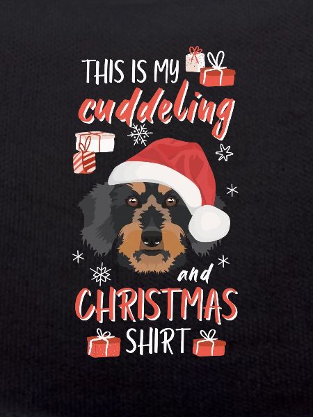 Rough-haired dachshund Christmas