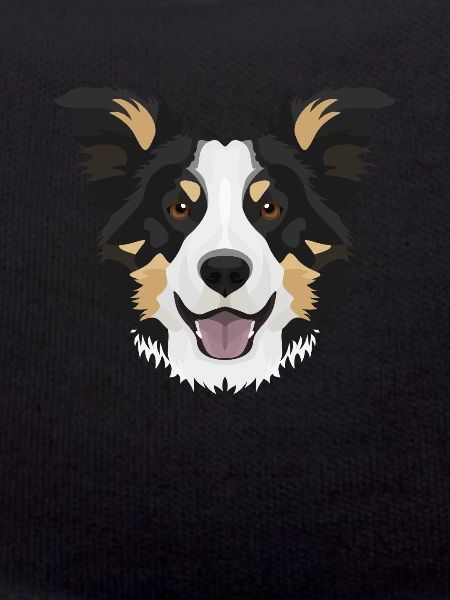 Smiling Border Collie