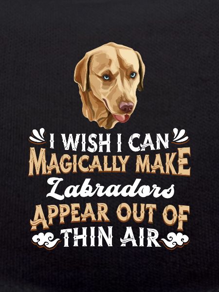 Labrador Dog