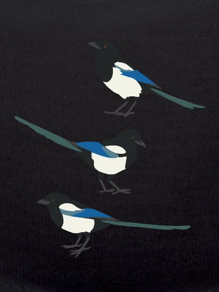 Funny Birds Magpie