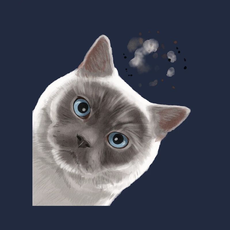 Neugierige Colourpoint Britisch Kurzhaar Katze