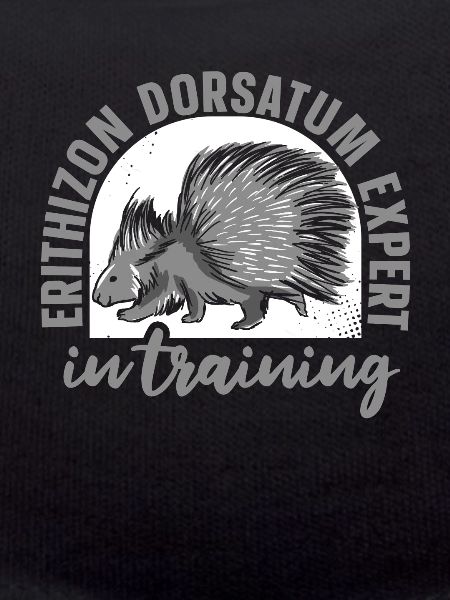 Porcupine