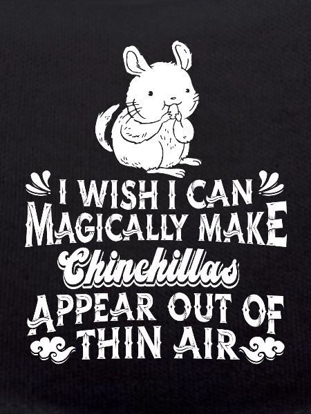 Chinchilla