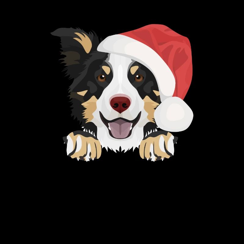 Border Collie Joyeux Noël