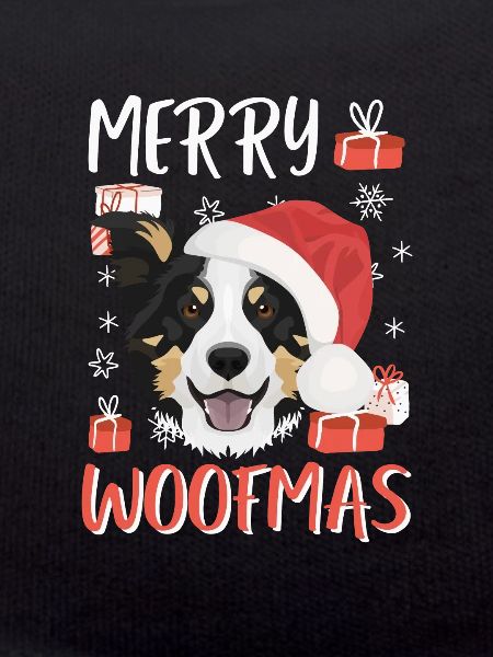 Border Collie Joyeux Noël